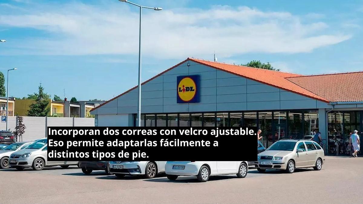 Colas kilométricas en Lidl