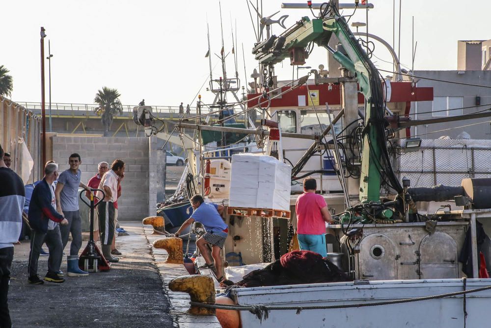 Jornadas Profesionales de Pesca Turismo en Torrevieja