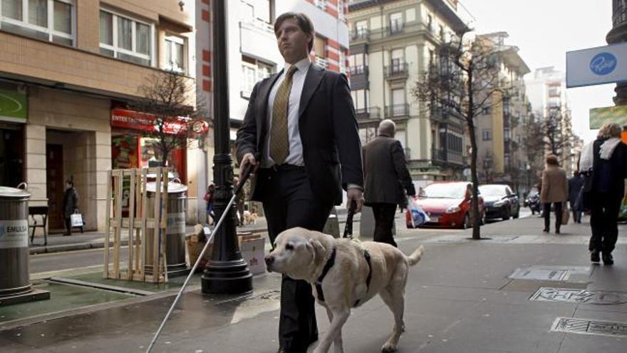 El perro lazarillo más veterano de España se jubila