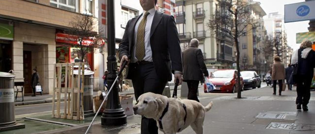 El perro lazarillo más veterano de España se jubila