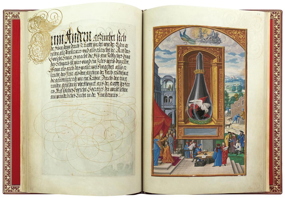 Splendor Solis  Coronacion CarlosV