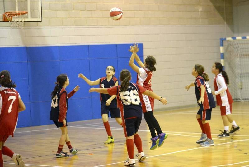 DÍA DEL MINIBASKET. Partidos de las 10:30 horas