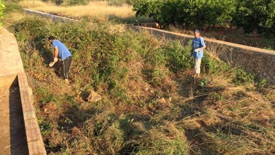 Betxí limpia barrancos para afrontar las lluvias de otoño