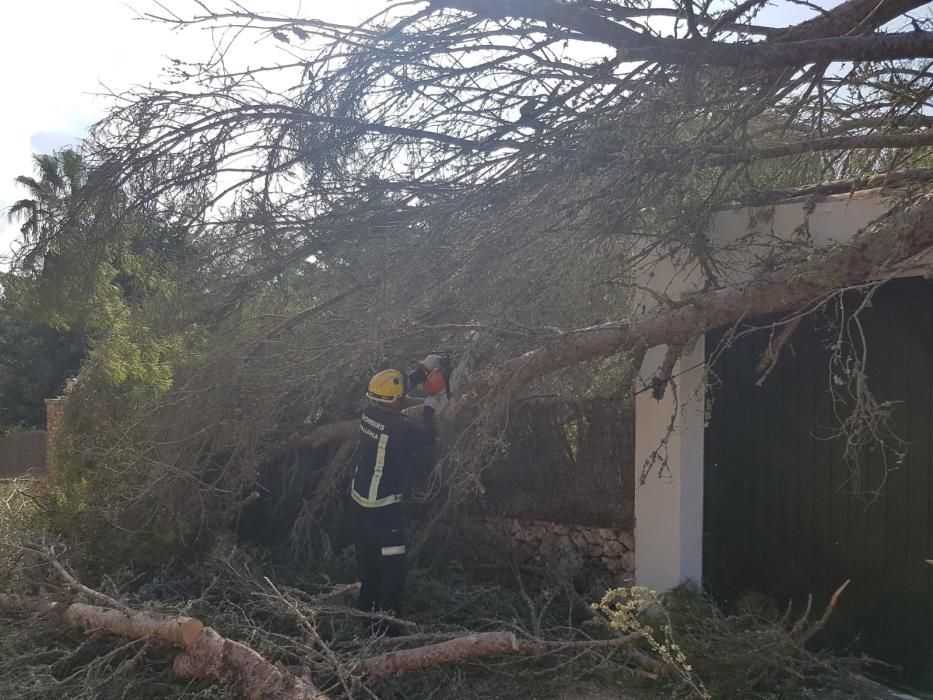 Nach Unwetter: Mallorca räumt auf