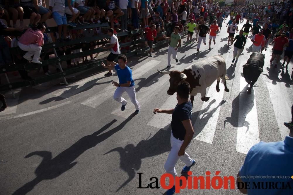 Segundo encierro de Calasparra