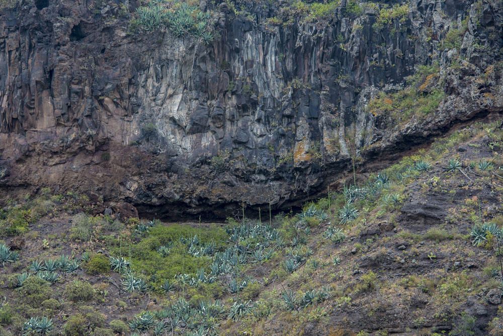 Barranco Guiniguada, en Las Palmas de Gran Canaria