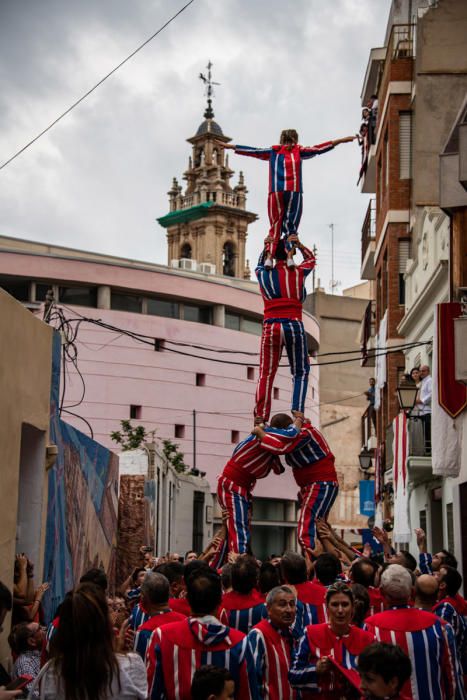 Festes de la Mare de Déu de la Salut de Algemesí