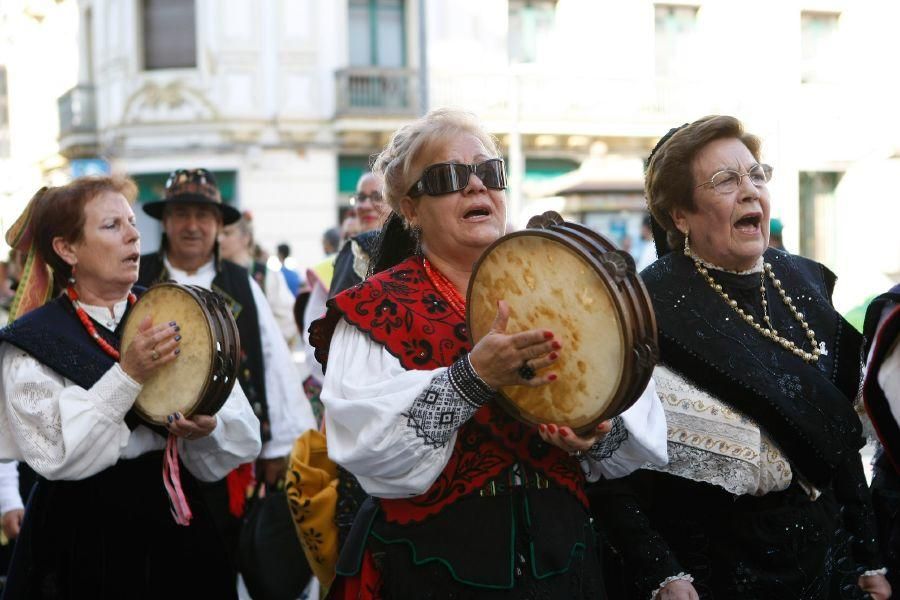 San Pedro 2016: Los trajes regionales toman Zamora