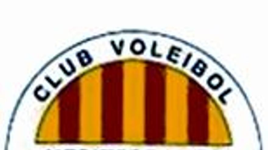 El Club Voleibol Mediterráneo se doctora con el gran rendimiento de sus equipos