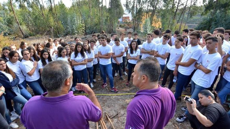 Jóvenes solidarios para recuperar el bosque de Doramas