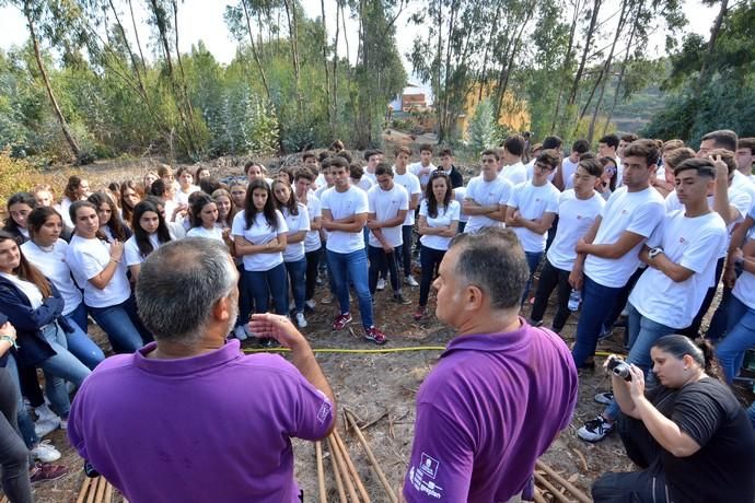 REPOBLACIÓN FORESTAL FONTANALES MOYA