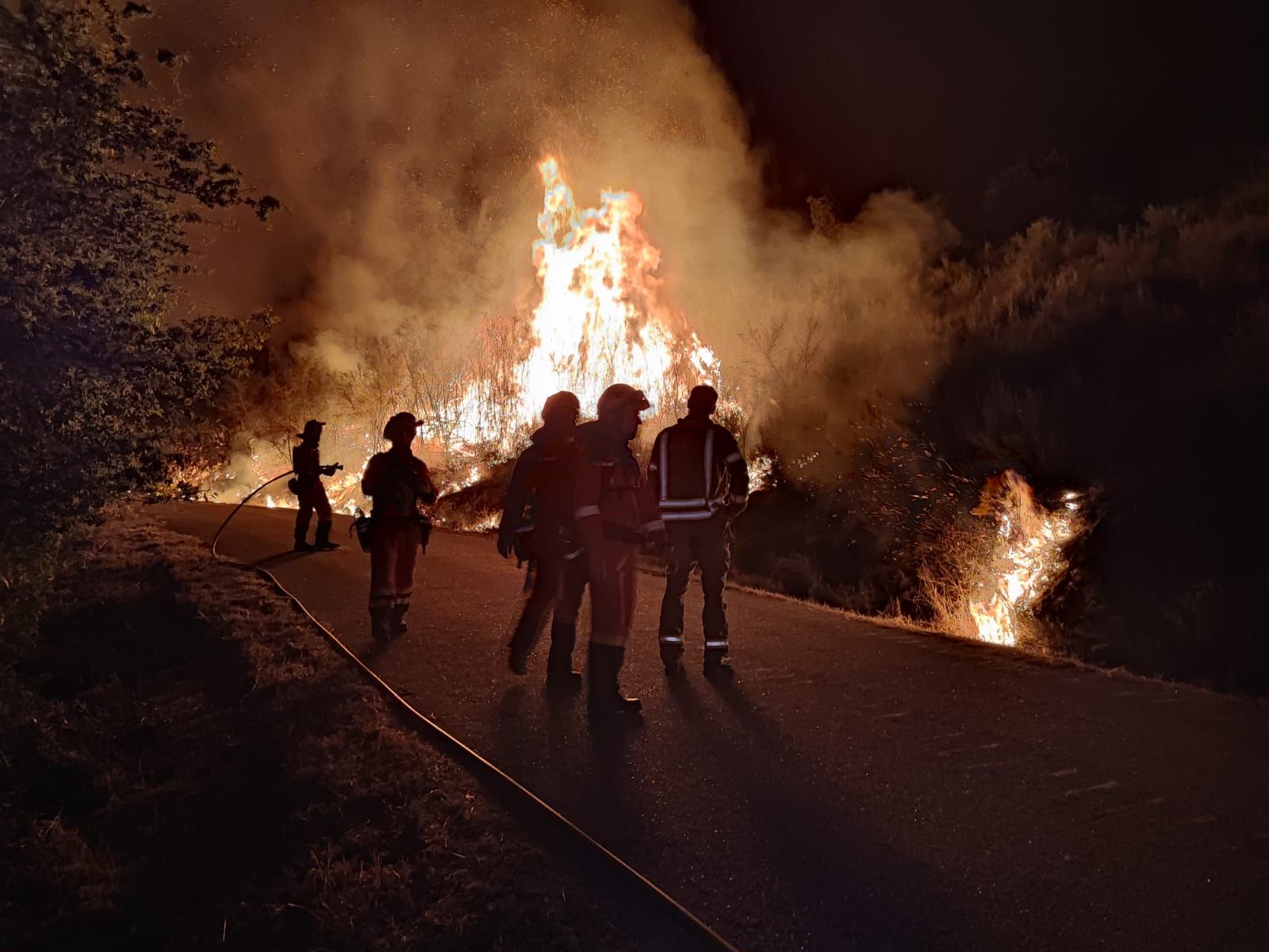 Los efectivos de la UME trataron de contener la fuerza del fuego en Arbo en la noche del sábado al domingo