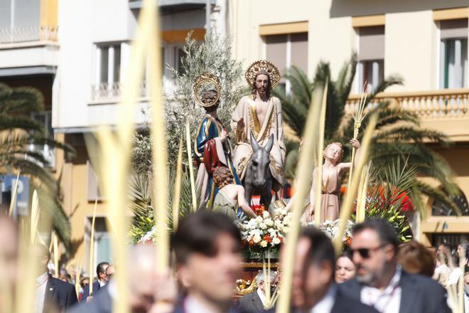 Procesión del Domingo de Ramos en Alicante