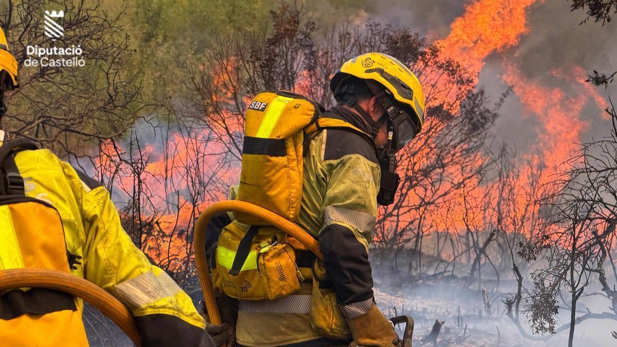 Los bomberos actúan en la extinción de las llamas