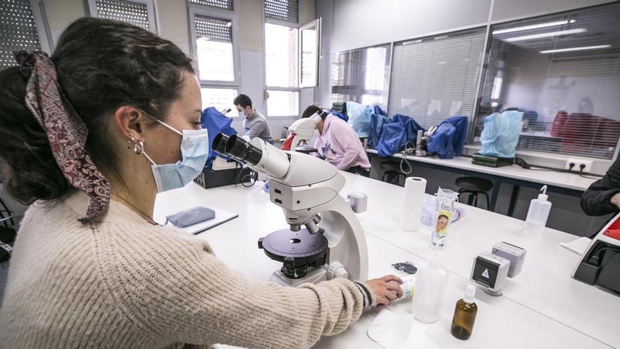 El aumento de estudiantes de doctorado, gran esperanza de la Universidad de Oviedo para garantizar el relevo: "Hay un interés creciente por iniciar una carrera investigadora"