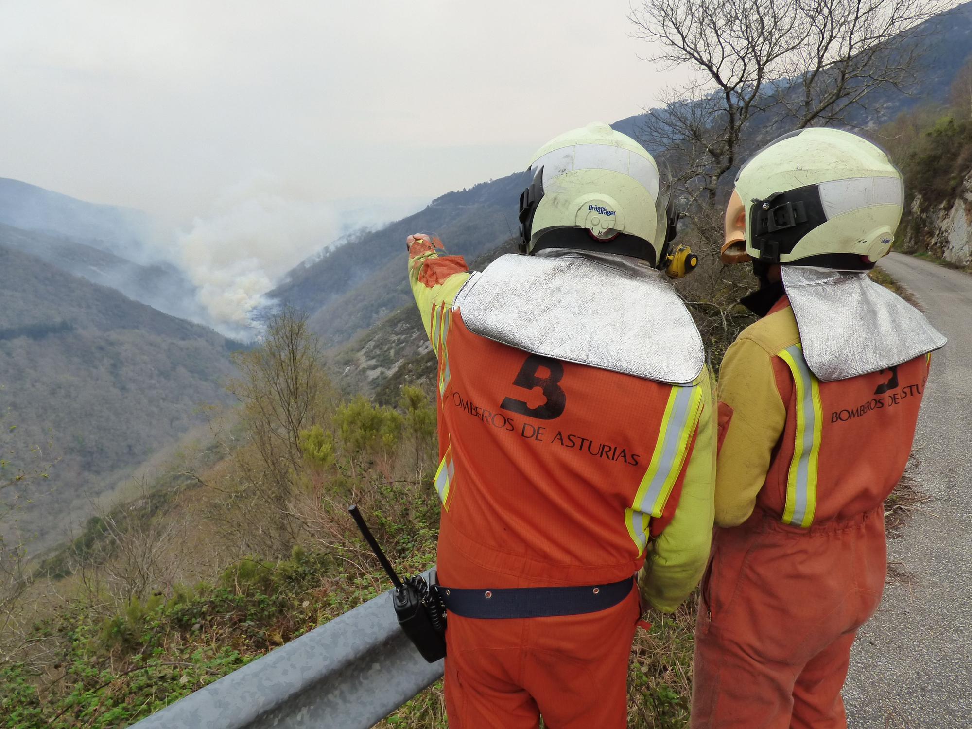 La lucha contra el fuego en los concejos de Tineo y Allande