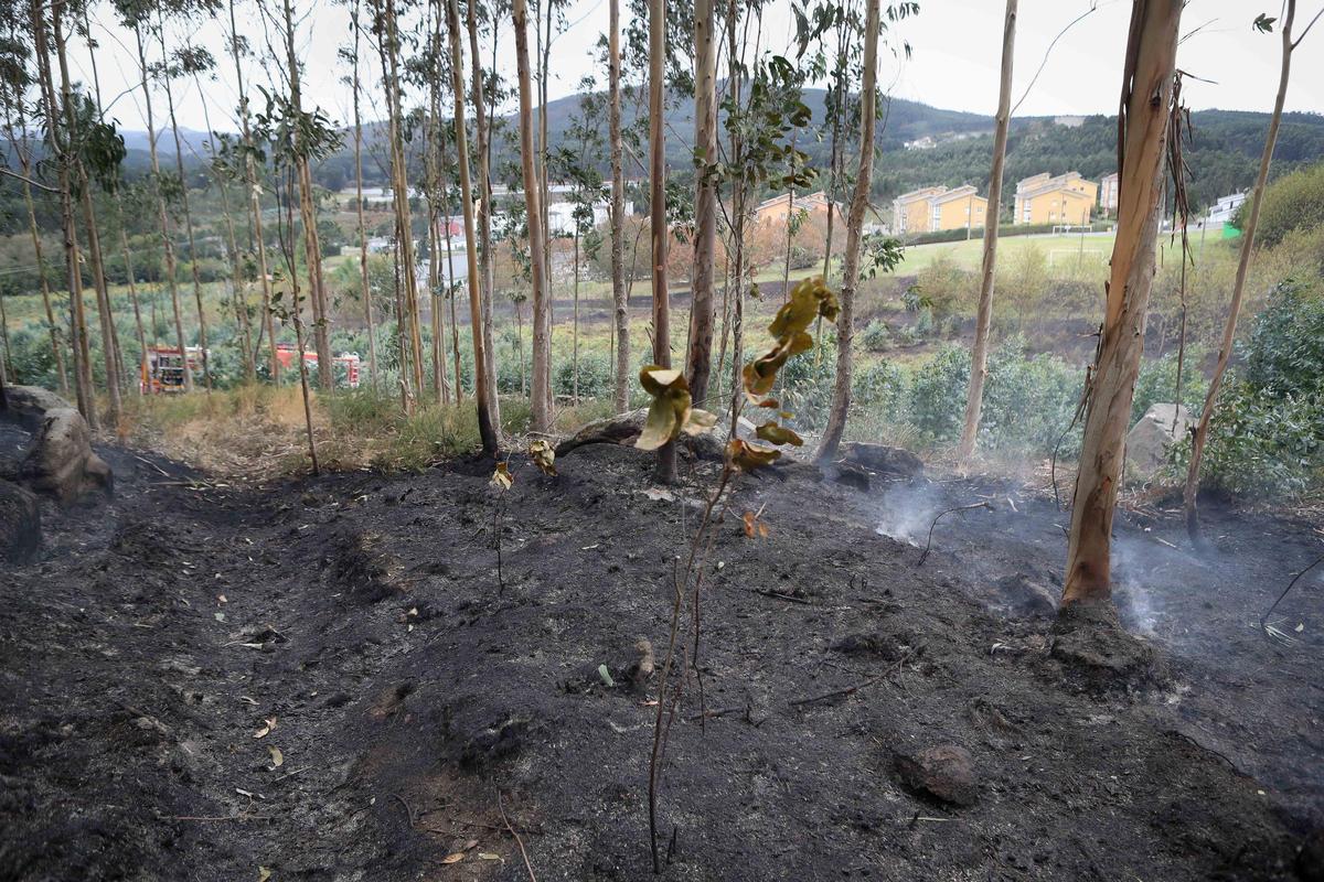 Un incendio forestal en Cervo obligó al desalojo de 40 vecinos