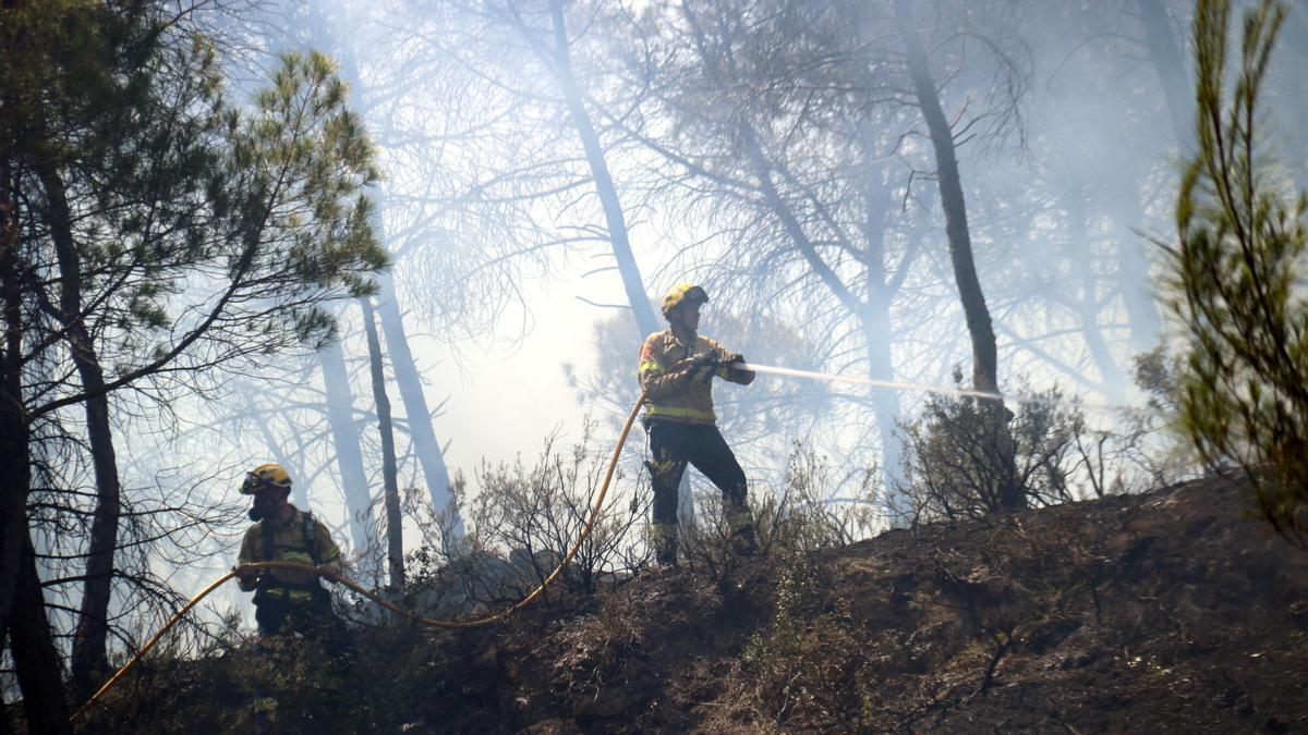 Bomberos trabjando en una zona de bosque entre La Pobla de Claramunt y Igualada