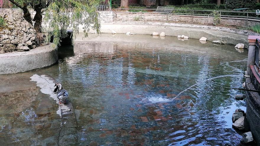 Moià fa un sanejament de l&#039;estany del parc Francesc Viñas