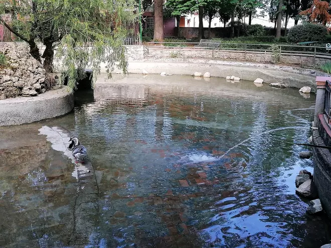 Neteja del llac del parc Moià