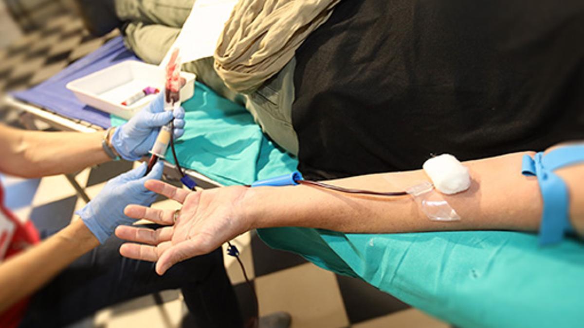 Donación de sangre en la Diputación de Alicante