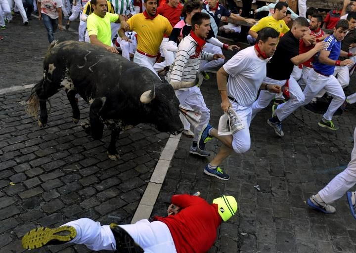 A runner falls in front of a Conde de la Maza fighting bull on Telefonica corner during the sixth running of the bulls of the San Fermin festival in Pamplona