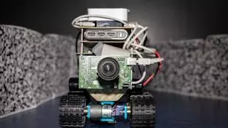 Crean un robot con el cerebro de un insecto