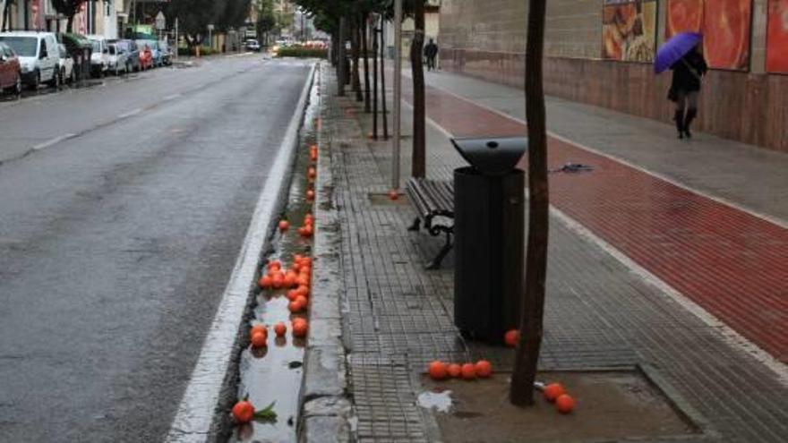 Naranjas para &#039;collir&#039; en Gandia