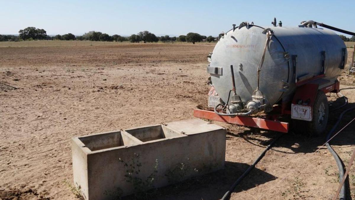 Camión cisterna en una de las explotaciones ganaderas de la comarca de Los Pedroches.