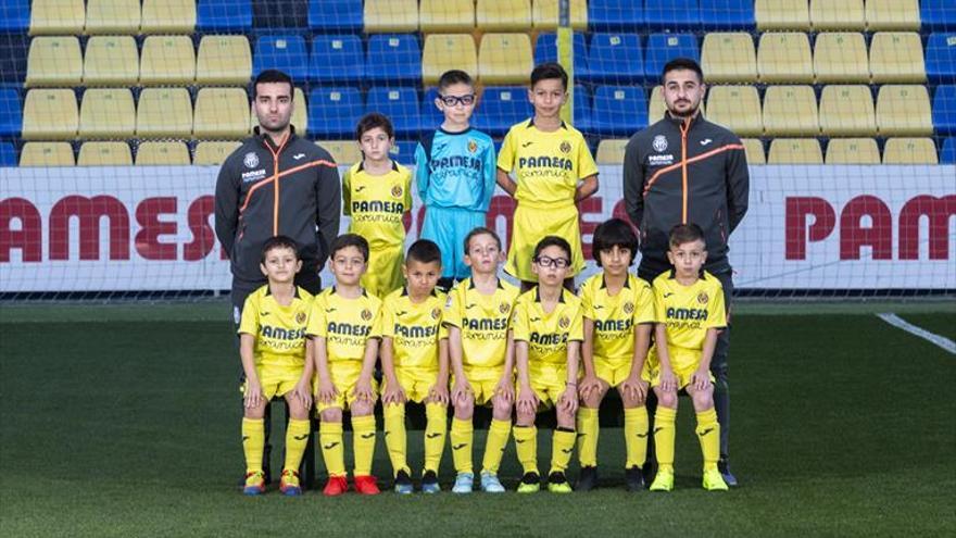 El prebenjamí B vol guanyar la Copa Federació 2018-19 PALMARÈS