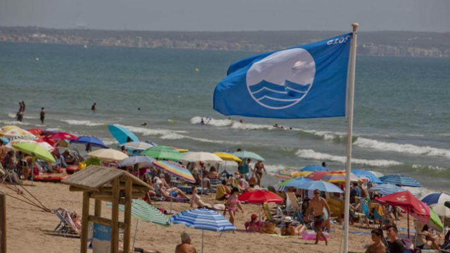 La playa La Marina de Elche ha revalidado su bandera azul