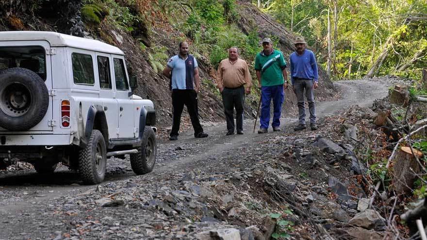 Por la izquierda, los ganaderos German Fernández, Manuel González, Luis Fernández y José Manuel Baizán, ayer, en la pista forestal que une Casomera con Piedrafita.