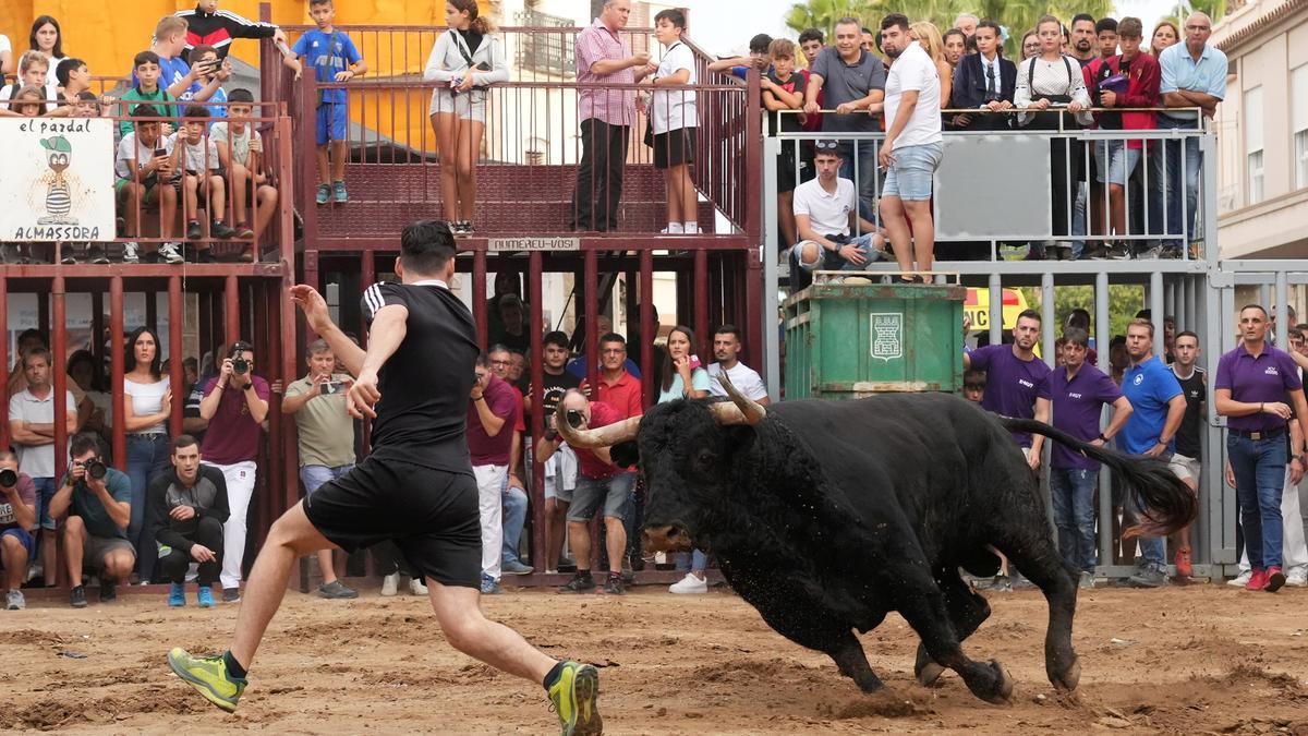 ‘Volador’, de La Palmosilla, ha dejado por ahora los mejores momentos de lo que va de semana taurina en Almassora.