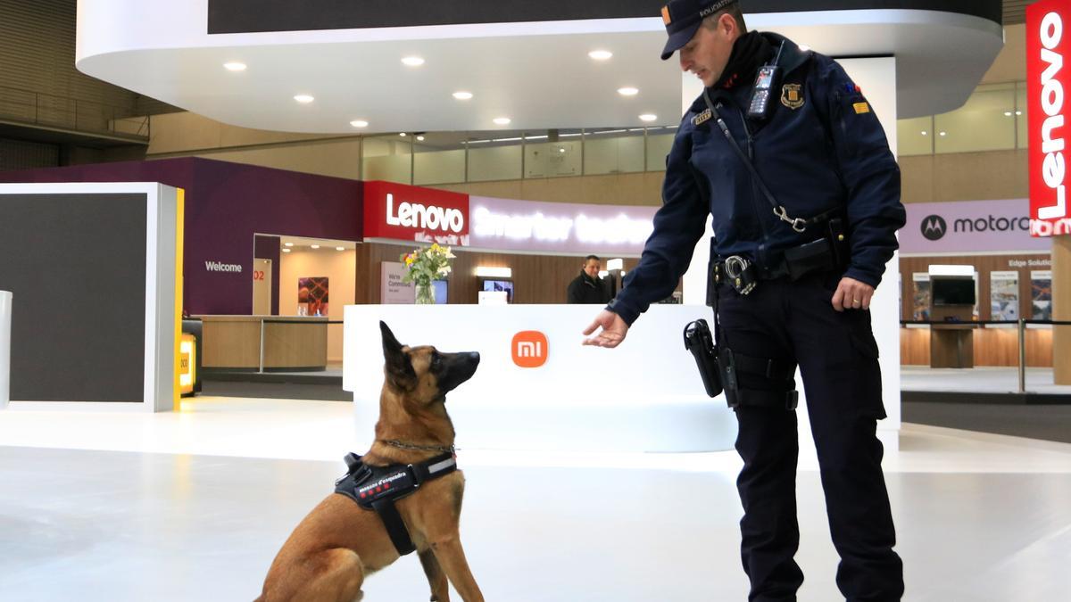 El gos Thor i un agent de la Unitat Canina dels Mossos d&#039;Esquadra al Mobile World Congress, en la inspecció de les instal·lacions just abans que el recinte obri portes als assistents