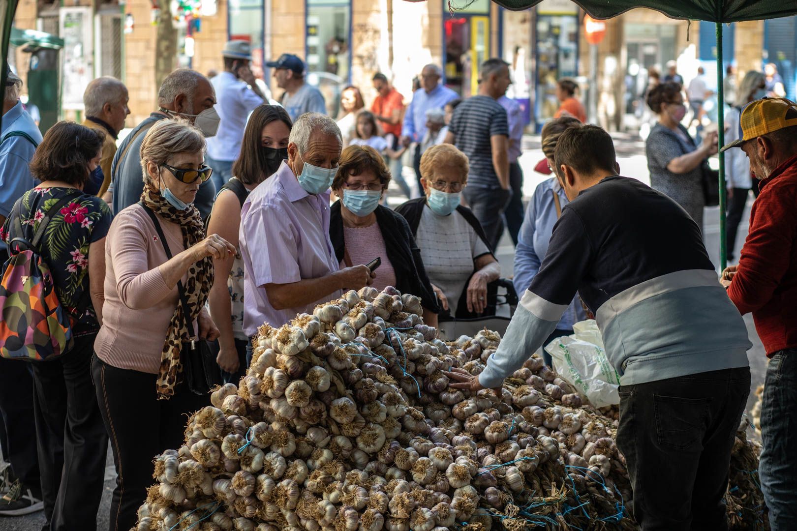 GALERÍA | Las mejores imágenes de la Feria del Ajo de Zamora