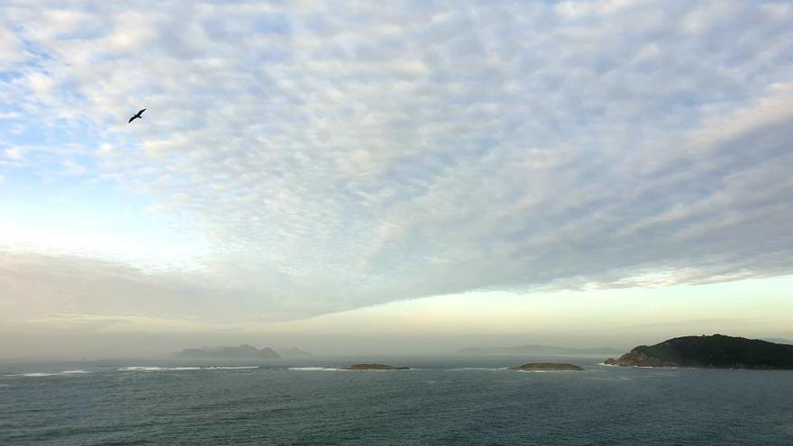 La bahía de Baiona, esta tarde. // Marta G. Brea