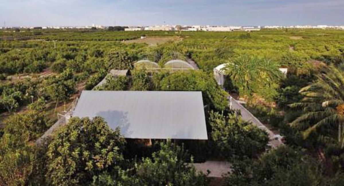 El arquitecto Carlos Salazar y Vicent Todolí.                                           levante-emv