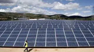 La suspensión de licencias de plantas solares en Elche solo afectará a suelos de alta capacidad para cultivar y próximos a viviendas