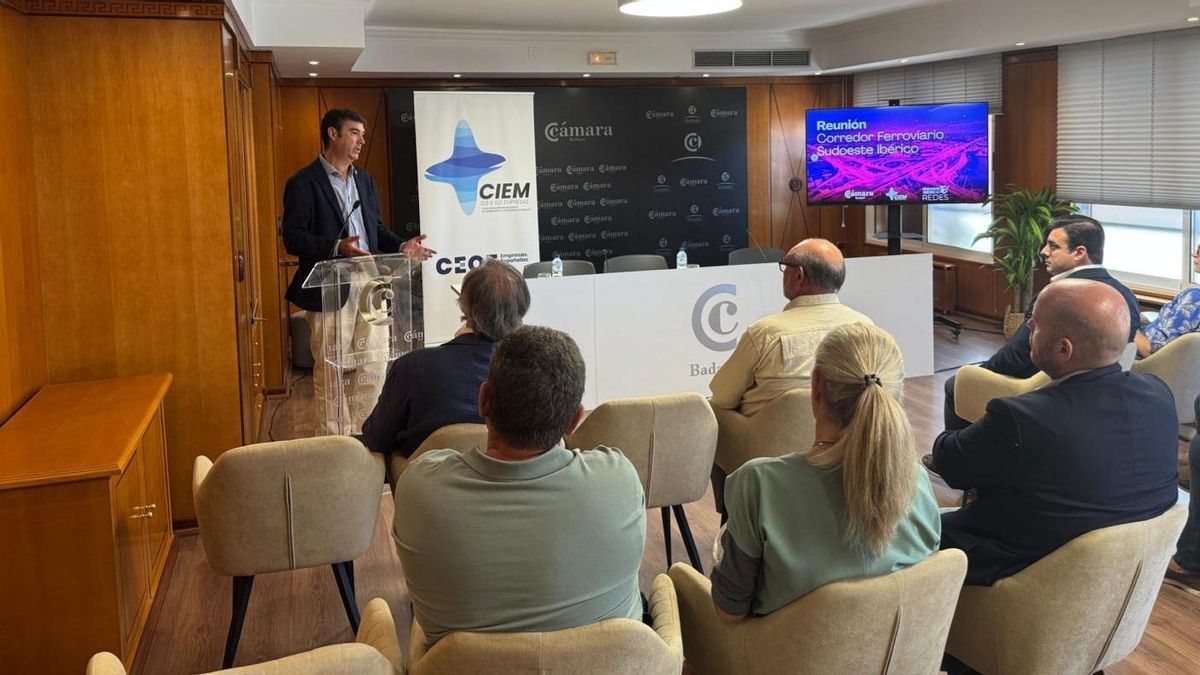 El director general de Movilidad y Transportes, Cristóbal Maza Olivera, sobre el AVE Badajoz-Madrid