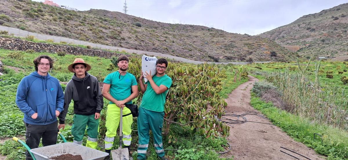 Estudiantes de FP descubren el proceso de compostaje en la finca Hoya Ponce, ejemplo de economía circular aplicada al campo canario.