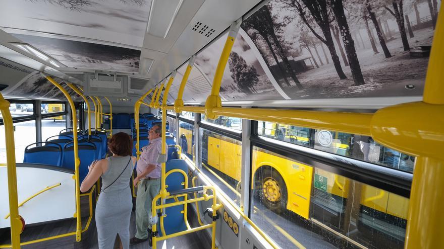 Naturaleza, familia y ecosistemas marinos: el arte sube a las guaguas de Las Palmas de Gran Canaria