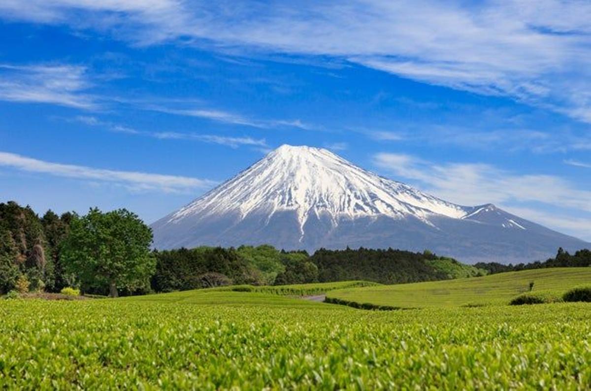 Monte Fuji, en la prefectura de Shizuoka