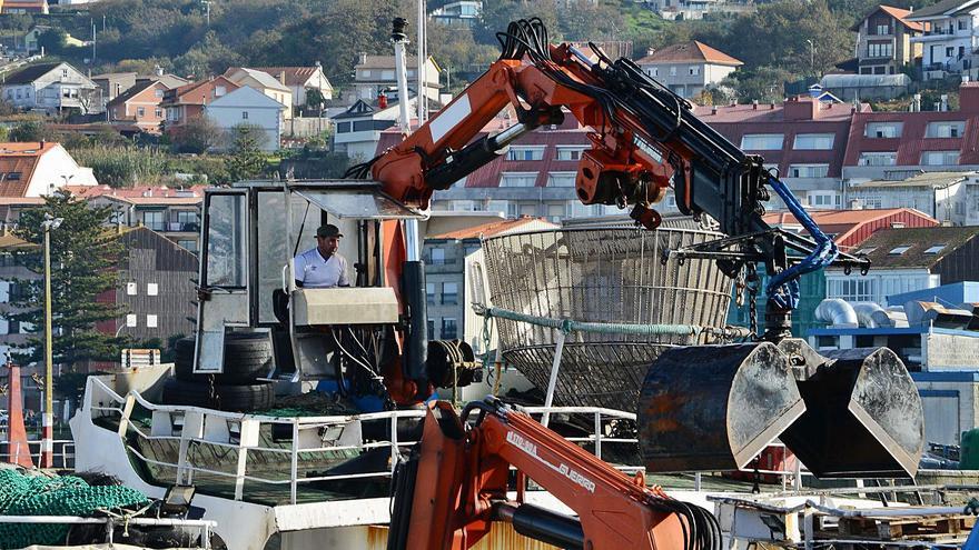 La elevada presencia de toxina mantiene cerradas todas las bateas y peligra la campaña de Navidad