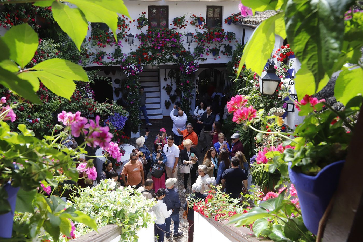 Patios de Córdoba: San Basilio 44