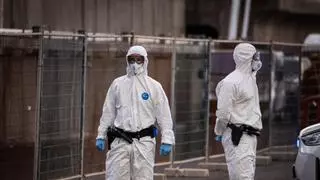 Directo hantavirus | El paciente español con hantavirus está casi asintomático