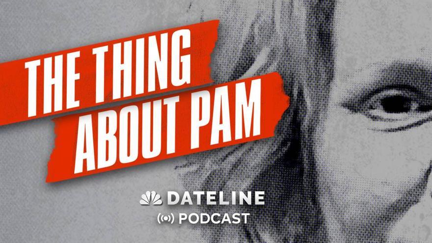 Cartel de la miniserie The Thing about Pam.