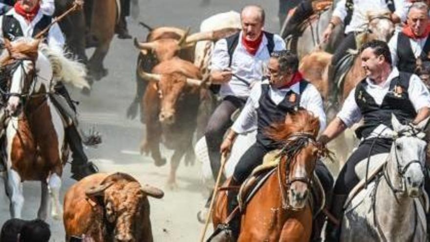 La Entrada de Toros y Caballos de Segorbe reúne cada a año a miles de personas.