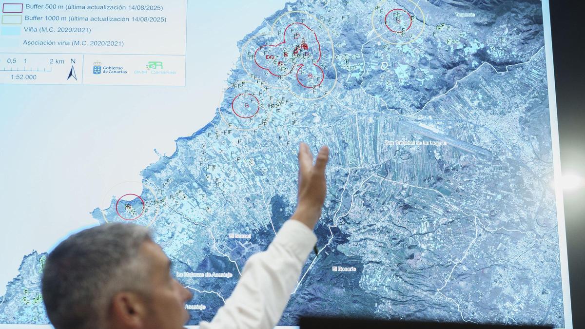 El consejero de Agricultura del Gobierno canario, Narvay Quintero, señala los focos de filoxera en los municipios tinerfeños.