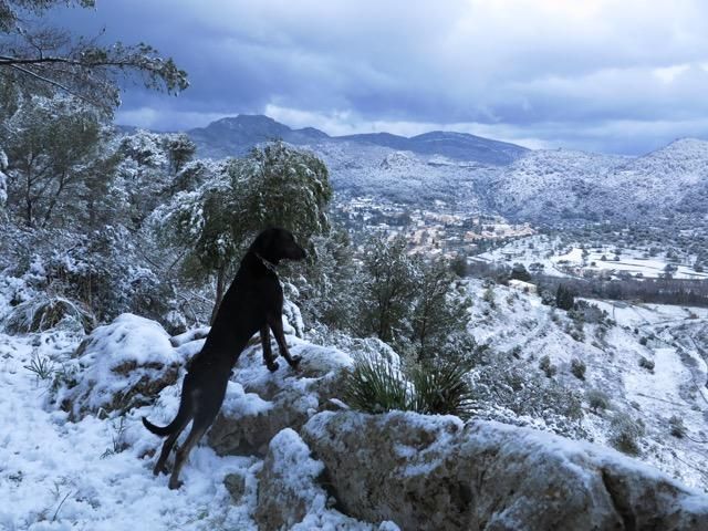 Schnee Mallorca Winter 2017