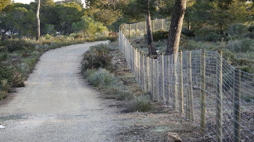 Calvià reivindica el uso público de Rafaubeig, su mayor ‘pulmón’ costero